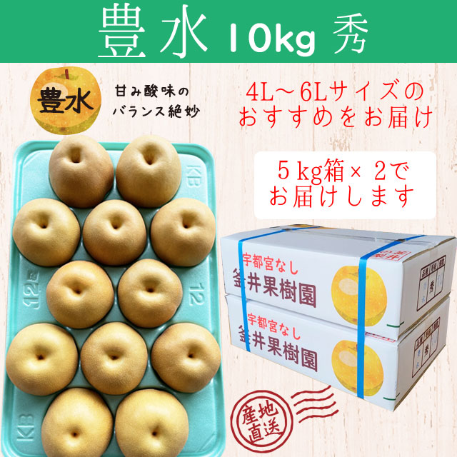 豊水 10kg 18～24玉 ｜ 栃木県産 宇都宮市 梨 なし 豊水 フルーツ 果物　※離島への配送不可　※2024年9月上旬頃～10月上旬頃に順次発送予定