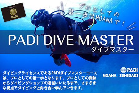 【ダイビングライセンス】PADIダイブマスターコース 7～8日間 1名様 MO-5