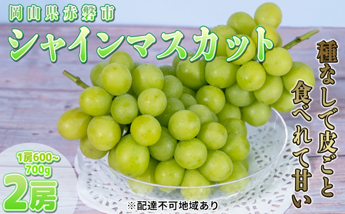 ぶどう 2025年 先行予約 ご家庭用 シャイン マスカット 2房 1房600g～700g 8月下旬～9月中旬発送分 ブドウ 葡萄 フルーツ 果物 岡山 赤磐市産 農マル園芸 あかいわ農園