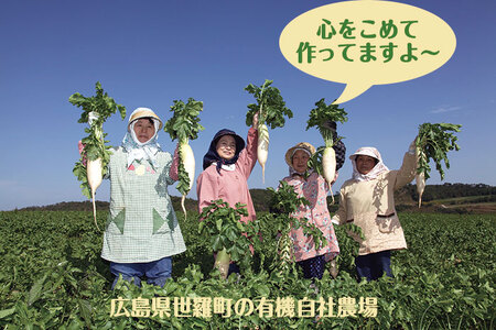 有機 乾燥たんざく大根 32g×5袋セット 乾燥野菜 非常食 備蓄 ダイエット 食物繊維 マクロビ 世羅 A047-09