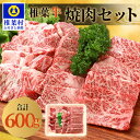 【ふるさと納税】宮崎県産 椎葉牛 焼肉セット【600g】【A5等級】【TK-23】｜送料無料 牛 肉 人気 黒毛和牛 和牛 国産牛 国産 ブランド牛 A5等級 父 母 お祝い 贈り物 ギフト 誕生日 プレゼント BBQ キャンプ 冷凍 焼き肉セット こだわり バーベキュー 焼き肉 牛丼 炒め物｜