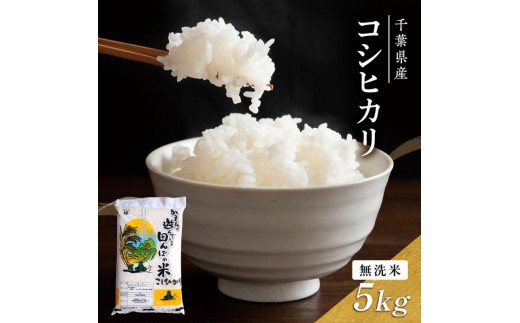 
                  【令和8年産】 コシヒカリ   無洗米　5kg お米 精米 粘りつやつや 甘み 美味しい 新鮮 
                