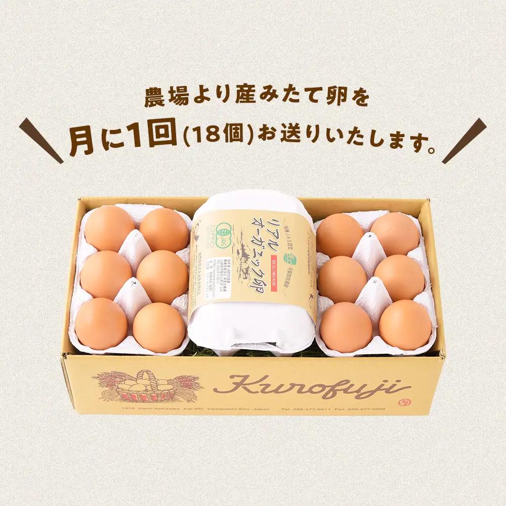 【10ヵ月定期便】リアルオーガニック卵 18個×10ヶ月 卵定期便 有機JAS 山梨県 甲斐市 B-22