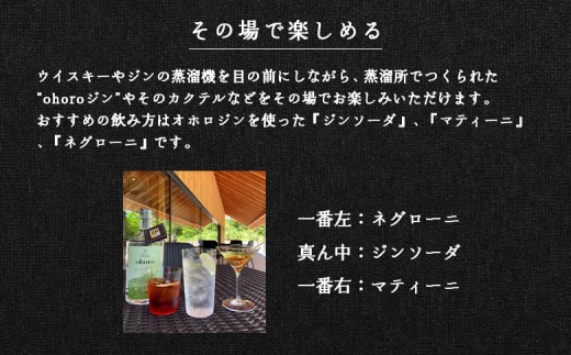 【数量限定！】北海道ニセコ町産　ohoro GIN Limited Edition ニホンハッカ 700ml