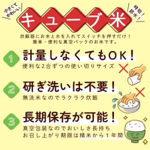 【5ヶ月連続定期便】山形産無洗米キューブ米つや姫(300g×20個)×5回 FY20-387