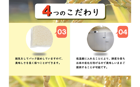 【定期便／全6回】無洗米 魚沼産こしひかり1合×30袋