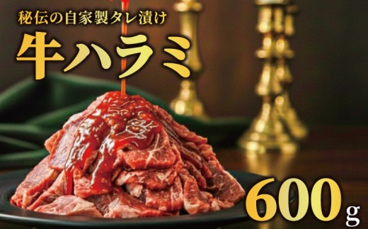 牛ハラミ タレ漬け 600g 特選 タレ漬け牛ハラミ 個包装 冷凍 秘伝のタレ 味付き牛 小分け ハラミ はらみ 牛肉 お肉 肉 にく 漬け 特製 たれ 牛ハラミ 味付き 焼くだけ 焼き肉 やきにく 焼肉セット 焼肉用 野菜炒め 焼肉 たれ 人気 うし ぎゅうにく おにく はらみ 腹身 ふるさと納税肉 ふるさと納税牛ハラミ 選べる容量 バーベキュー BBQ 奈良県 奈良市 なら 焼肉工房もく
