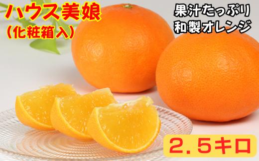 
            ハウス美娘 約2.5kg（化粧箱入） ／ ミカン みかん 蜜柑 柑橘類 美娘 オレンジ 2.5kg 先行予約 甘い フルーツ ＜132-002＞
          