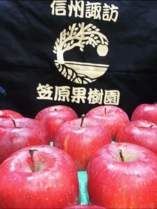 信州産 りんごジュース 1L瓶詰め [2本] 箱入り／ 笠原果樹園 果汁100% リンゴジュース 瓶 長野県産 産地直送 砂糖・食塩・香料不使用 ギフト プレゼント りんごジュース りんごジュース り