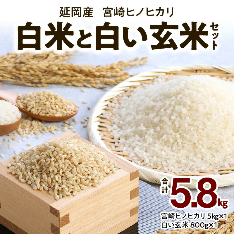 【ふるさと納税】宮崎ヒノヒカリ 延岡産 白米 5kg 白い玄米 800g セット 計 5.8kg ふっくら 美味しい 美しい ツヤ 粘り 香り ヒノヒカリ 人気 ブランド米 精米 玄米 米 お米 ご飯 白飯 弁当 おにぎり おむすび 国産 食品 常温 お取り寄せ グルメ 宮崎県 延岡市 送料無料