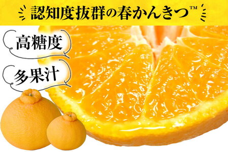 デコ不知火（デコポン） 約2.8kg/サイズおまかせ　※2026年2月上旬～2026年4月上旬頃に順次発送予定(お届け日指定不可)　紀伊国屋文左衛門本舗　【ntb421C】