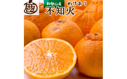 【先行予約】家庭用不知火7.5kg+250g（傷み補償分）＜2月より発送＞/ みかん ミカン 有田みかん 柑橘 フルーツ 果物 和歌山 オレンジ【ikd055D】
