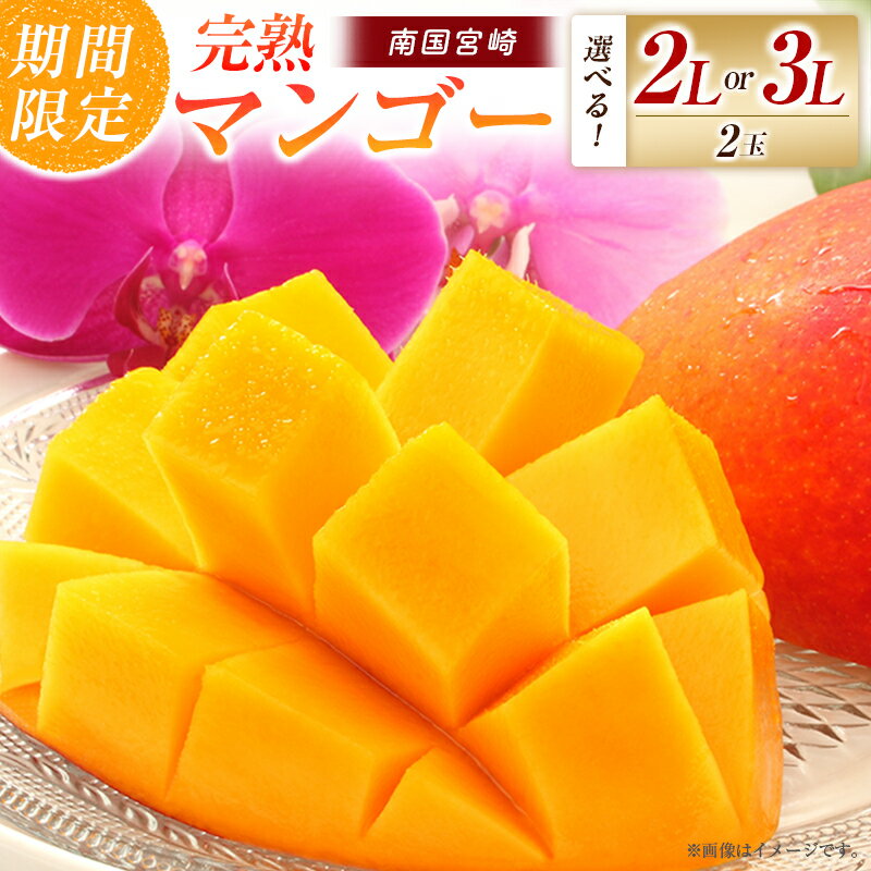 【ふるさと納税】【2026年発送 先行予約】完熟マンゴー 2Lまたは3L×2玉（フルーツ マンゴー 完熟マンゴー アップルマンゴー 果物 くだもの 先行受付 2026 令和8年 宮崎）