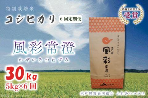 【6ヶ月定期便】【令和7年産】特別栽培米コシヒカリ「風彩常澄」計30kg（5kg×6回） 【最高 ランク 特A コシヒカリ 水戸市 オリジナル ブランド 農林水産省大臣賞受賞 減農薬 減化学肥料 栽培 ふっくら 美味しい お米 ご飯】 （FC-104）