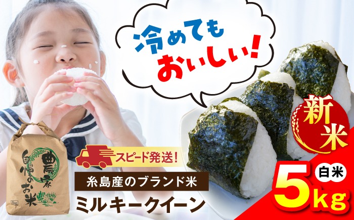 【令和8年産】 ミルキークイーン 白米 5kg 糸島市産 糸島市 / 糸島の恵み コメ こめ ご飯[AGR022]