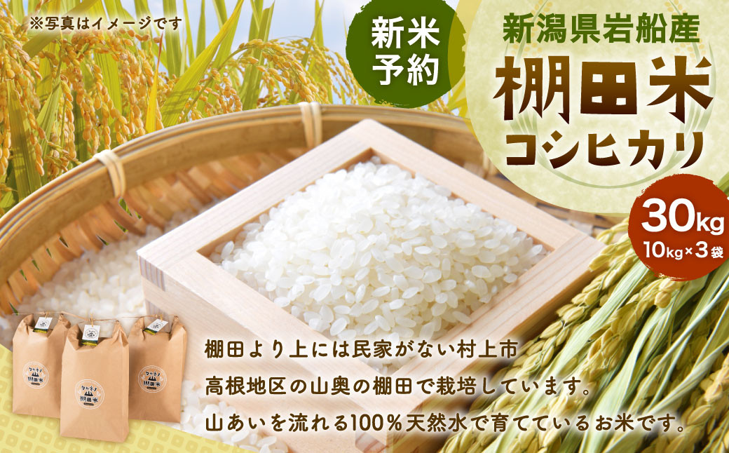 
                  【新米受付・令和8年産米】新潟県村上市岩船産 棚田米コシヒカリ30kg（10kg×3袋）ND4016 
                