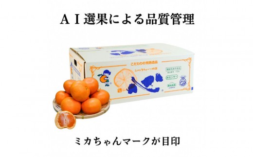 三ヶ日みかん（完熟早生「心」）4kg【2026年12月中旬以降順次発送】