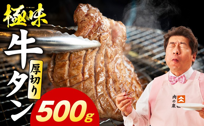 
                  【スピード発送】厚切り牛たん 500g【氷温熟成×旨塩ダレ 味付き 訳あり サイズ不揃い 500g 小分け 焼くだけ 焼肉】
                