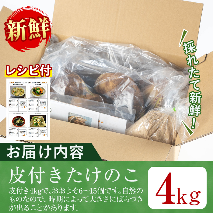 i366 ≪数量限定！2025年4月上旬～4月中旬の間に発送予定≫鹿児島県出水市産！タケノコ＜皮付き4kg＞国産たけのこを産地直送！ たけのこ 筍 タケノコ 国産 皮付き 野菜 旬 新鮮 採りたて 煮