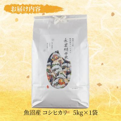 ふるさと納税 十日町市 魚沼産 コシヒカリ 長里 棚田米 5kg 新潟県十日町市 |  | 03