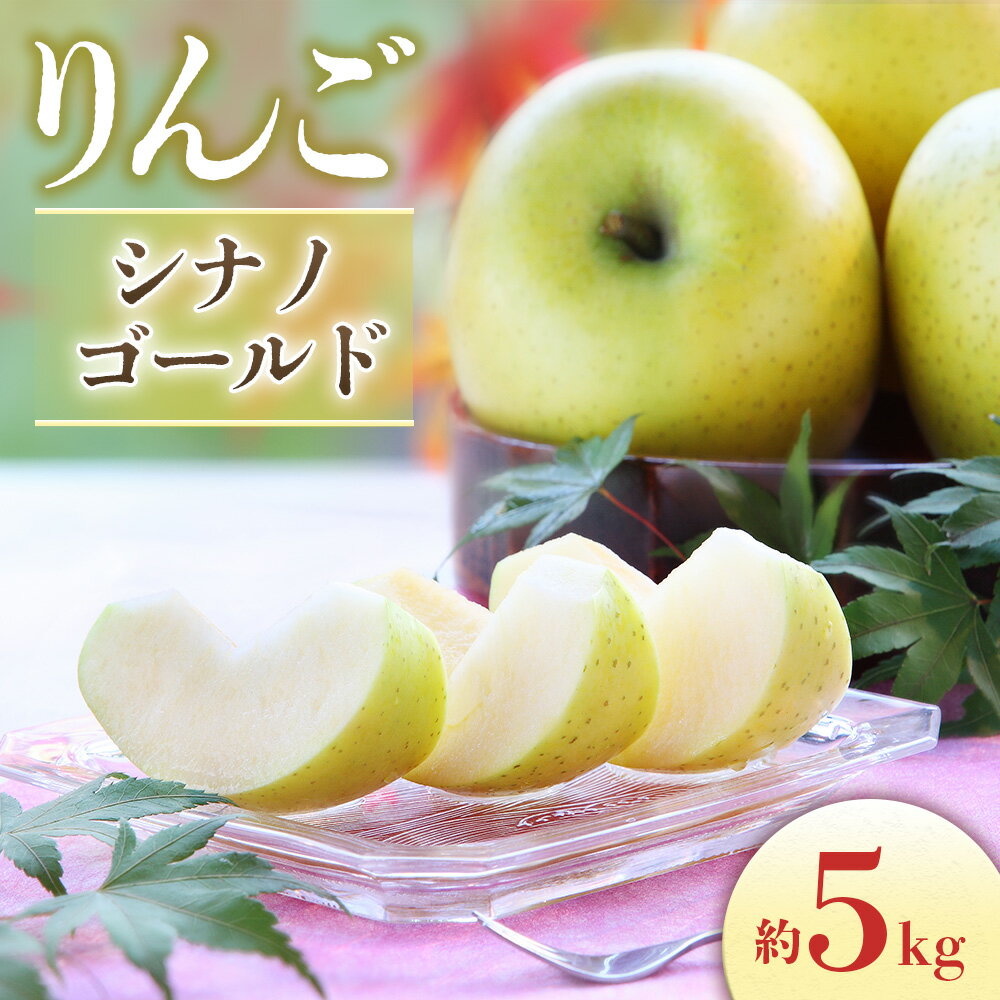 りんご シナノゴールド 10〜18玉