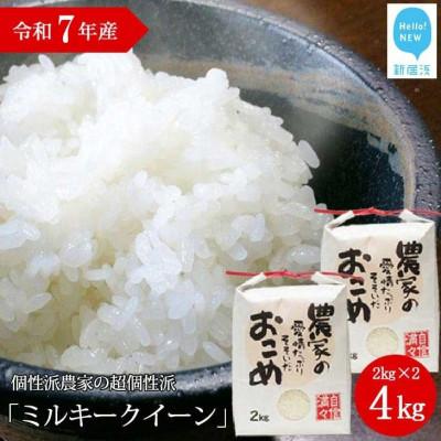 ふるさと納税 新居浜市 【令和7年産 精米】愛媛・新居浜個性派農家の個性派ミルキークイーン4kg(2kg×2袋)