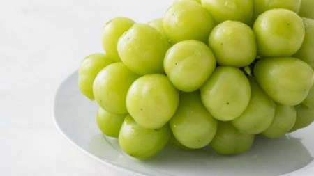 白いちご と シャインマスカット の 宝石箱 36粒 【2026年12月より発送開始】（茨城県共通返礼品 [いちご]：城里町産　[ぶどう]：結城市）