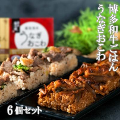 ふるさと納税 唐津市 (一粒庵)霧島湧水うなぎおこわと博多和牛ごはん 6個セット(各3個)