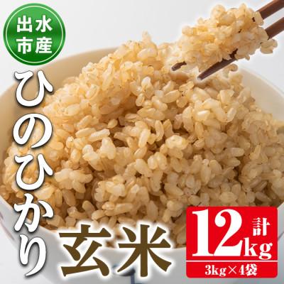 ふるさと納税 出水市 鹿児島県出水市産ひのひかり　玄米12kg_I503