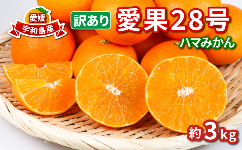 
                  訳あり 愛果28号 ハウス栽培 約3kg ハマみかん 先行予約 高級 ブランド ゼリー プルプル 限定 品種 甘い 果物 フルーツ 柑橘 みかん サイズ 不揃い ハウス  愛媛ミカン 愛媛蜜柑 愛媛みかん 訳アリ 訳あり品 訳有り わけあり 産地直送 農家直送 数量限定 国産 愛媛 宇和島 B010-075009
                