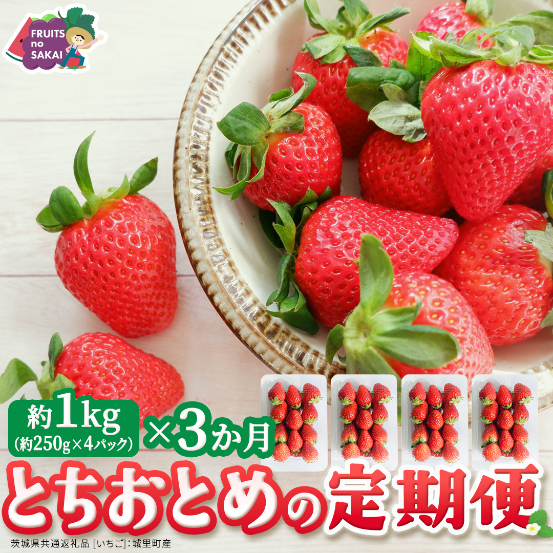 【定期便】とちおとめ 約250g（15～18粒）×4パック 3ヶ月連続お届け便【2026年12月から発送開始】（茨城県共通返礼品 [いちご]：城里町産） 茨城県 県産 人気 厳選 果物 くだもの 旬 