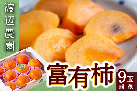 【先行予約】渡辺農園 富有柿 9玉前後 2025年11月中旬から12月上旬 出荷予定