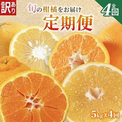 【定期便4回】 訳あり 季節の柑橘4種 各5kg 合計 20kg ポンカン 不知火 甘夏 河内晩柑   柑橘 みかん 果物 フルーツ ゼリー アイス ジュース 定期便  フルーツ定期便 和製 グレープフルーツ 夏文旦 ぽんかん 旬の果物 旬のフルーツ 愛南町 愛媛県 愛南フルーツ