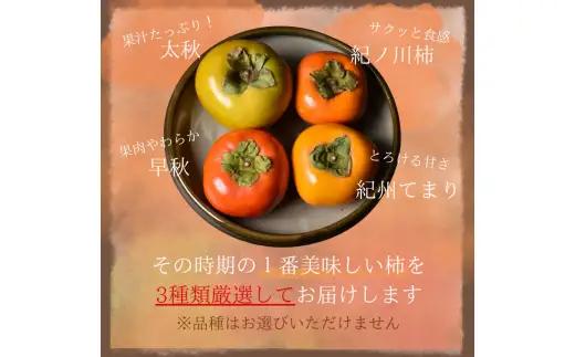旬の 柿 詰め合わせ 2kg 特秀 / 詰め合わせ かき 2kg 甘い 太秋柿 紀ノ川柿 富有柿 早秋柿 珍しい 希少 和歌山産 ※2026年10月上旬～11月下旬に順次発送【frt504-p-tum