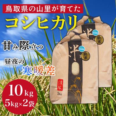 ふるさと納税 伯耆町 【令和8年産】鳥取県産「コシヒカリ」精米 10kg(5kg×2)