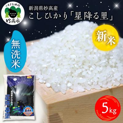 ふるさと納税 妙高市 【2025年12月下旬発送】令和7年産 新潟県妙高産こしひかり「星降る里」5kg 無洗米