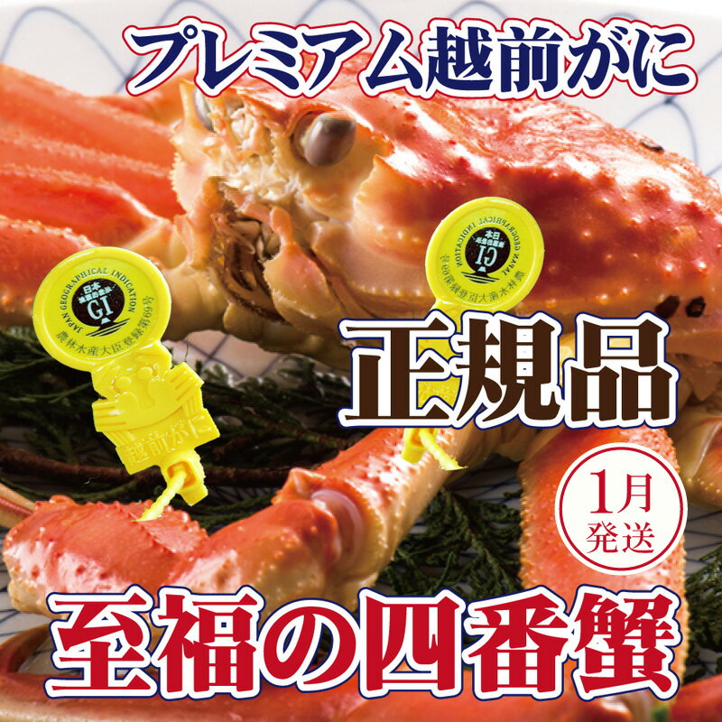 【ふるさと納税】越前がに × 1杯（四番蟹）桐箱入り！至福のプレミアム越前がに【雄 ズワイガニ かに カニ 蟹 姿 生 ボイル 冷蔵 福井県】【1月発送分】希望日指定可 備考欄に希望日をご記入ください [e37-x007_01]