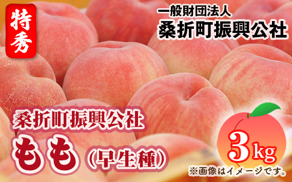 もも【早生種・2026年産先行受付】特秀3kg（10〜12玉）桑折町振興公社 No.231