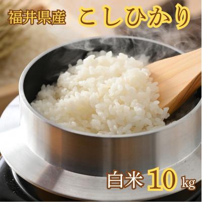 ふるさと納税 小浜市 令和7年産新米こしひかり10kg
