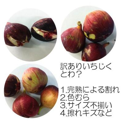 ふるさと納税 和歌山市 和歌山産 【訳あり】イチジク (サイズ不揃い、傷あり) 1.2kg(400g×3パック) |  | 01