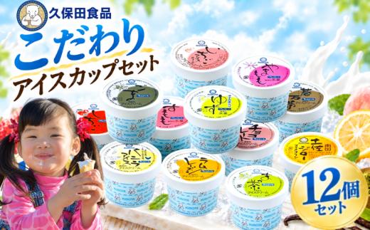 久保田食品 アイス セット D 12個 |  クリーム カップアイス アイスクリン 詰め合わせ 食べ比べ スイーツ ジェラート シャーベット 無添加 土佐ジロー すもも やまもも 柚子 苺 いちご バニラ 抹茶 ラムレーズン チョコレート 碁石茶 ごま ギフト 人気 おすすめ 贈答 国産 高知県 南国市