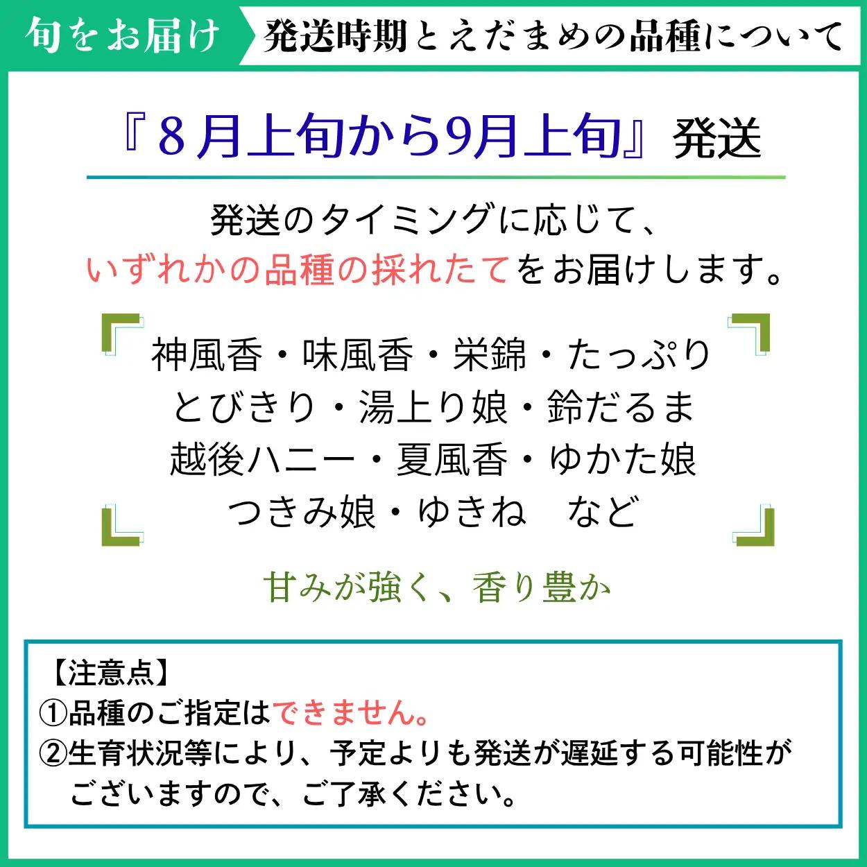えだまめ 3kg 訳あり 枝豆 えだ豆 秋田県 井川町産えだまめ