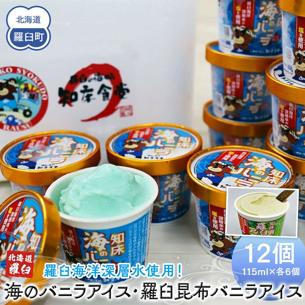 【ふるさと納税】羅臼海洋深層水使用！ 海のバニラアイス・羅臼昆布バニラアイス 12個セット アイスクリーム スイーツ デザート 夏 北海道 羅臼町 知床 生産者 支援 応援 F22M-036