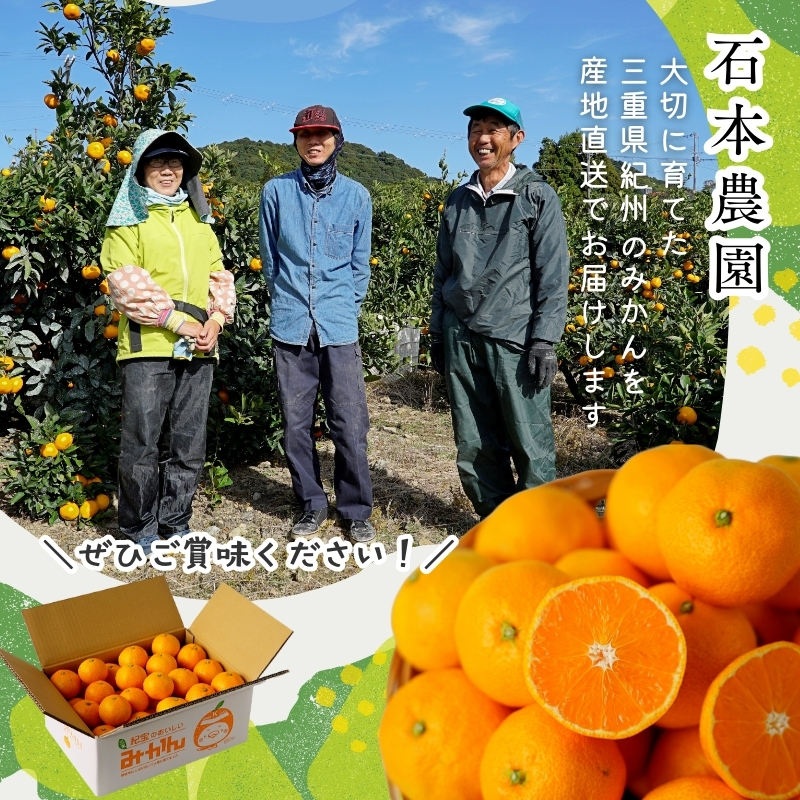 訳あり S-4L サイズおまかせ 石本農園のカラオレンジ 4kg 【2026年4月初旬から2026年4月下旬までに順次発送】 / みかん ミカン 蜜柑 カラオレンジ 訳あり おまかせ【mis015A】