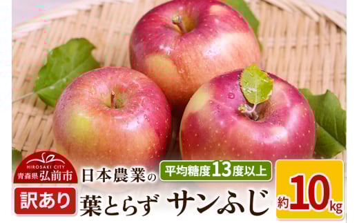 りんご 【先行受付】平均糖度13度以上！ 葉とらずサンふじ 約10kg 訳あり