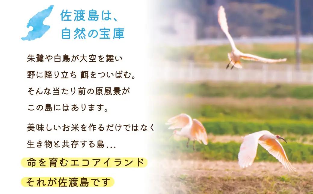 【定期便 10kg 6回】 無洗米 コシヒカリ 令和8年 計 60キロ | 佐渡産 コシヒカリ