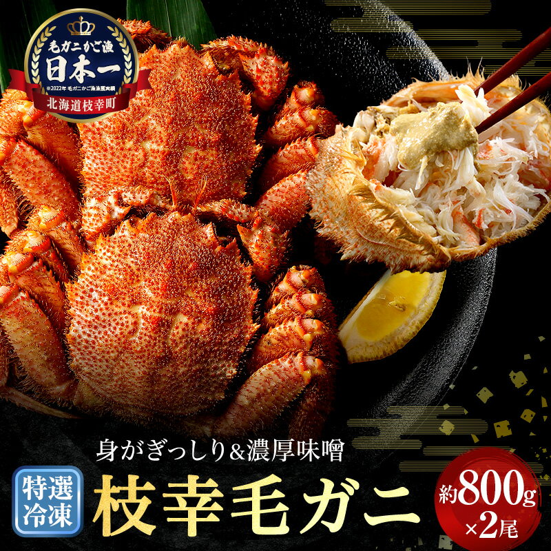 【ふるさと納税】【漁獲量日本一】至福の逸品！特選冷凍「枝幸毛がに」約800g×2尾 毛蟹 毛ガニ オホーツク 北海道加工食品 地域のお礼の品 カタログ 毛カニ