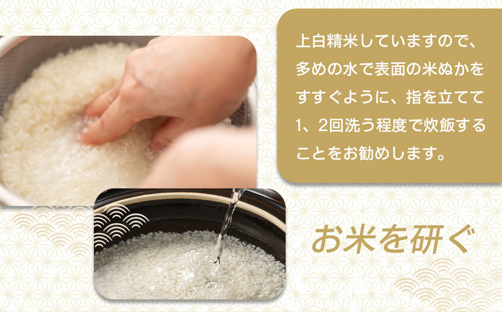 【令和7年産 新米 先行予約受付】ツキノワのコシヒカリ 精米 10kg ｜お米 白米 ご飯 コメ 栃木県 大田原市 