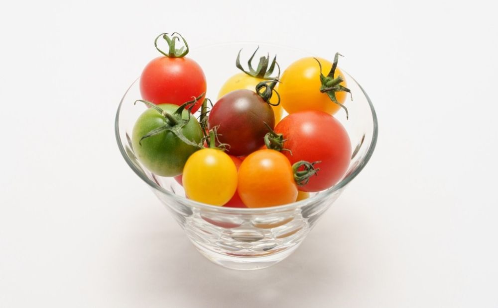 鈴鹿山麓トマト「カラフルミニトマト」箱詰め（1.8kg入り）【トマト ミニトマト 採れたて 自然 栽培 水耕栽培 野菜 甘い あまい おいしい 美味しい 三重県 四日市市 ふるさと納税】