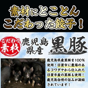 No.861t-A ＜定期便・全3回＞鹿児島黒豚使用の黒豚餃子(計96個・12個入り×8パック)×3回 国産 九州産 ぎょうざ ギョウザ 冷凍 黒豚 豚肉 お肉 おかず 頒布会【末永商店】